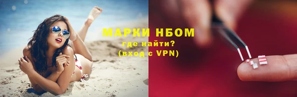 гашик Козловка