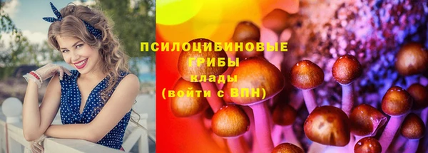 таблы Кинешма