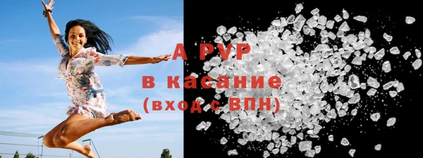 гашик Козловка