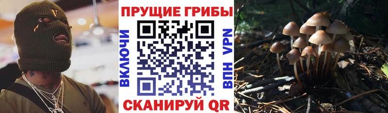 Галлюциногенные грибы GOLDEN TEACHER  Купить  Губкин 