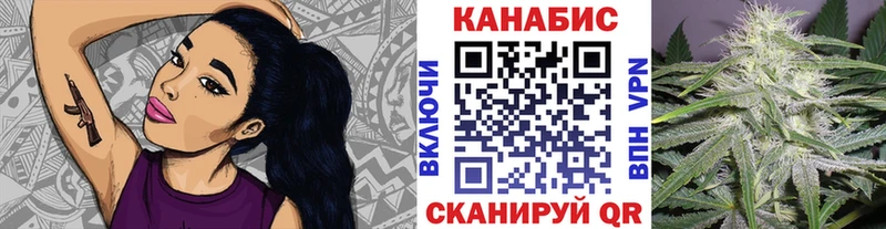 Купить  Губкин  Бошки Шишки OG Kush 